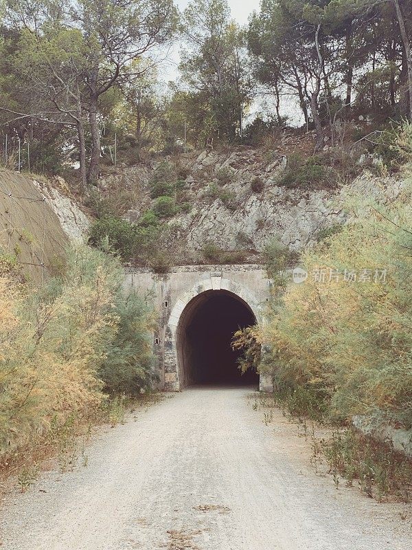 夏天漫步在绿路上