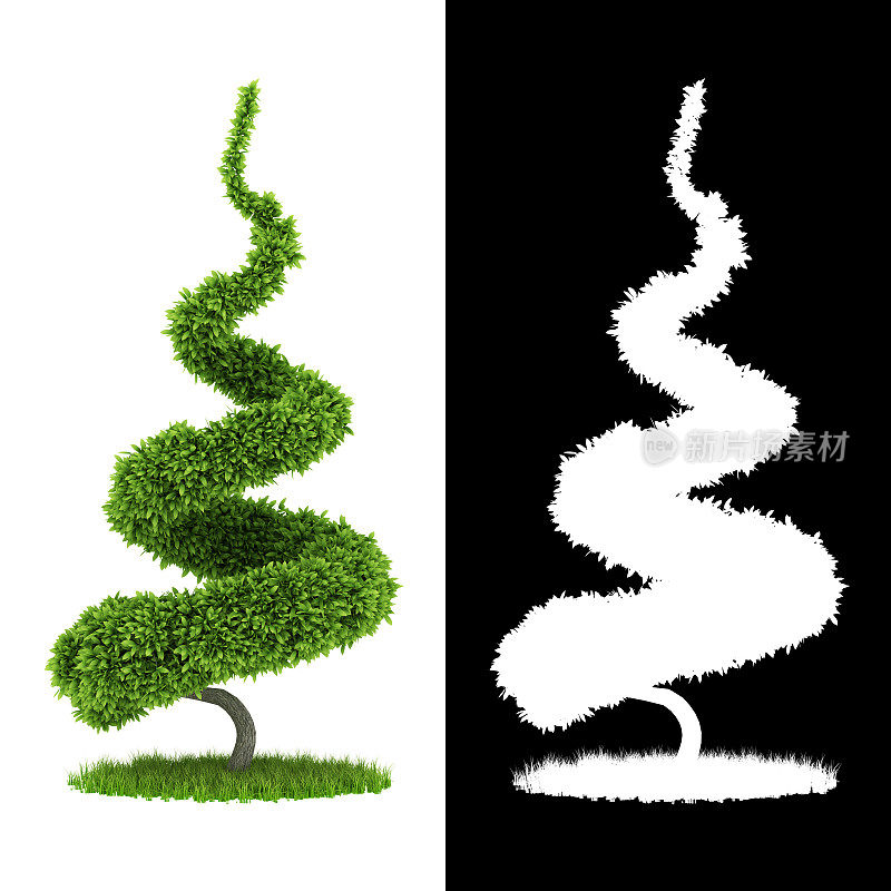3D渲染螺旋形状绿色灌木与圆形绿色草坪隔离在白色背景与alpha通道库存照片