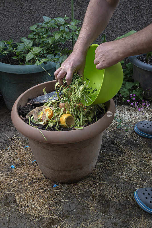 在花园里用水果、蔬菜和蛋壳制作堆肥。