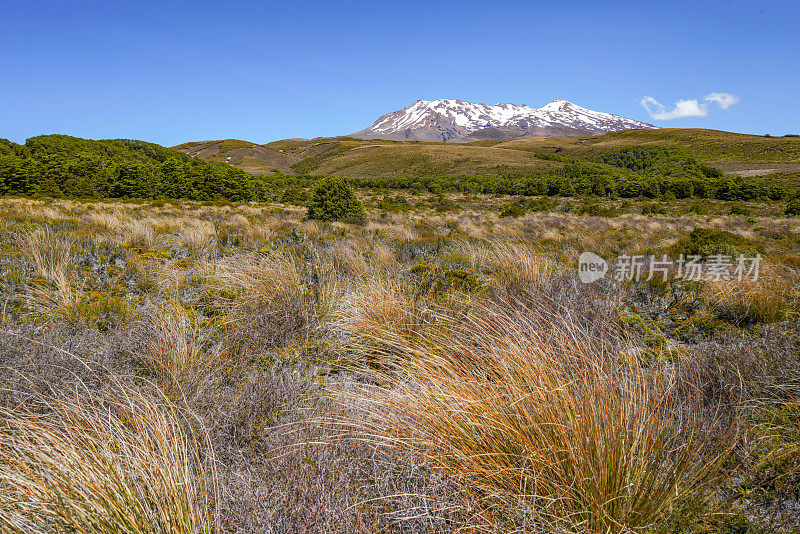 绕山轨道风景-汤加里罗国家公园的鲁阿佩胡山，马纳瓦图-旺加努伊，新西兰