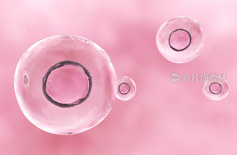 人类细胞或胚胎干细胞