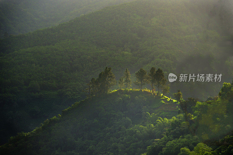 牙买加蓝山明暗对比