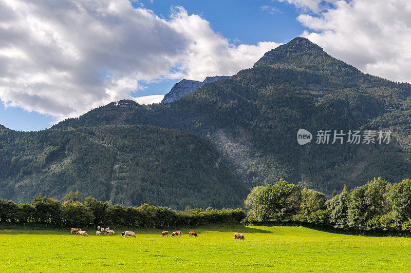 奥地利奥斯汀的阿尔卑斯山田园诗般的风景