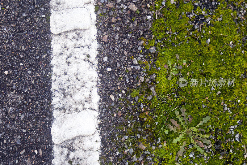 乡村公路上的白色单线特写。