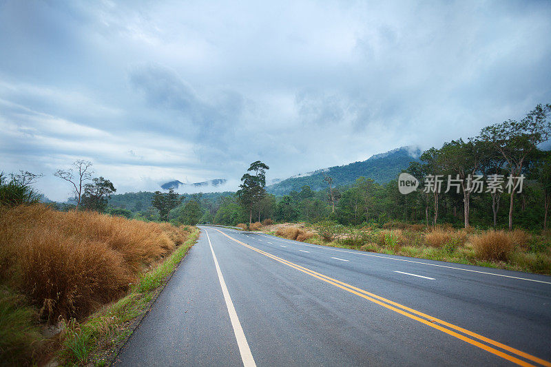 北碧乡村风景中的道路