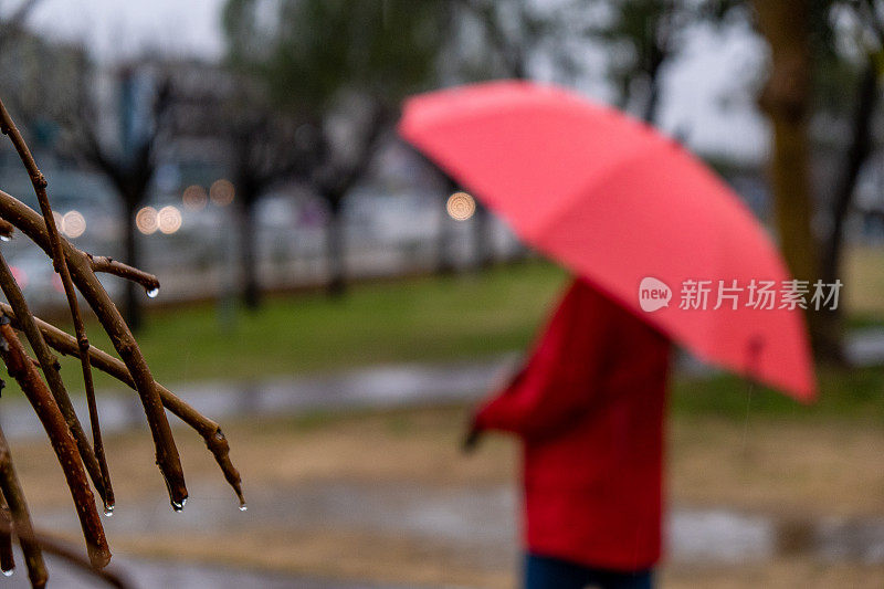 一个人撑着一把红伞在雨天行走