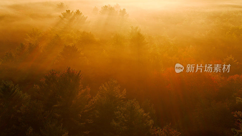 鸟瞰阳光穿过罗德岛的秋雾