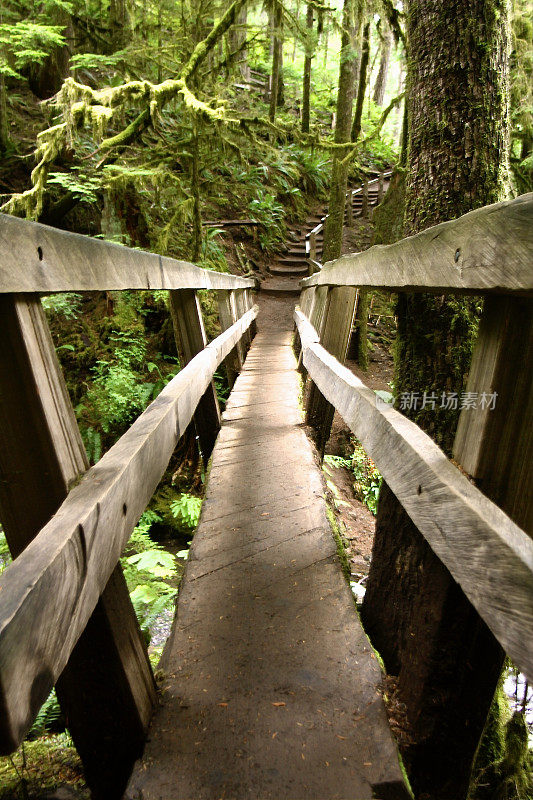 自然小径上有栏杆的小桥