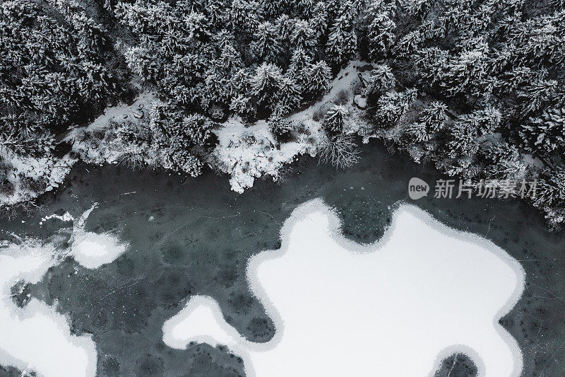 冰封的湖面，湖面上的冬景，积雪覆盖的松树