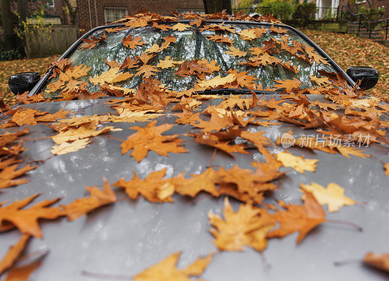 秋雨霏霏的一天，一辆银色的汽车被五颜六色的树叶覆盖着。