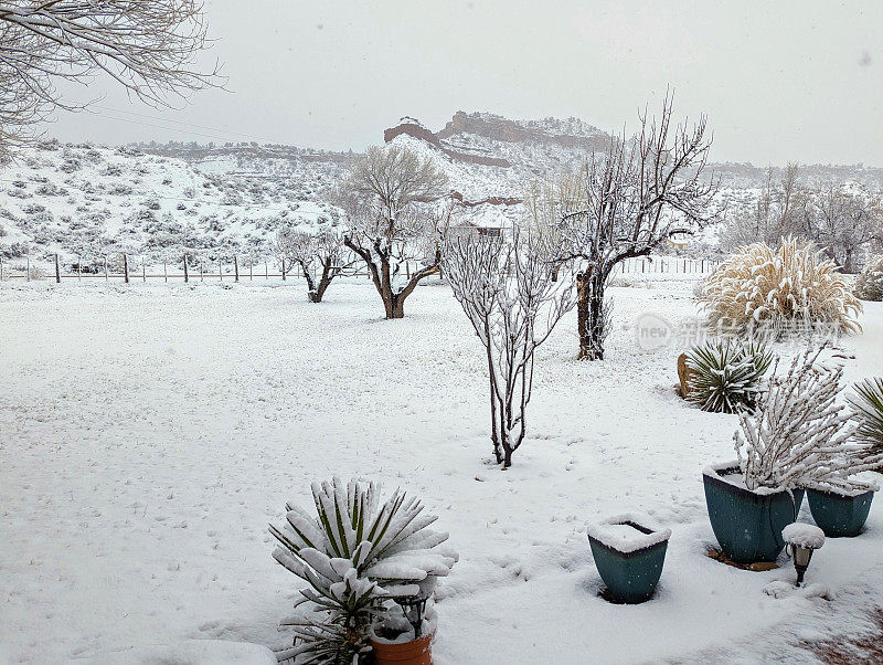 在犹他州洛克维尔的格拉夫顿路上，岩石花园和前院的丝兰植物在冬天被雪覆盖，背景是潘帕斯草