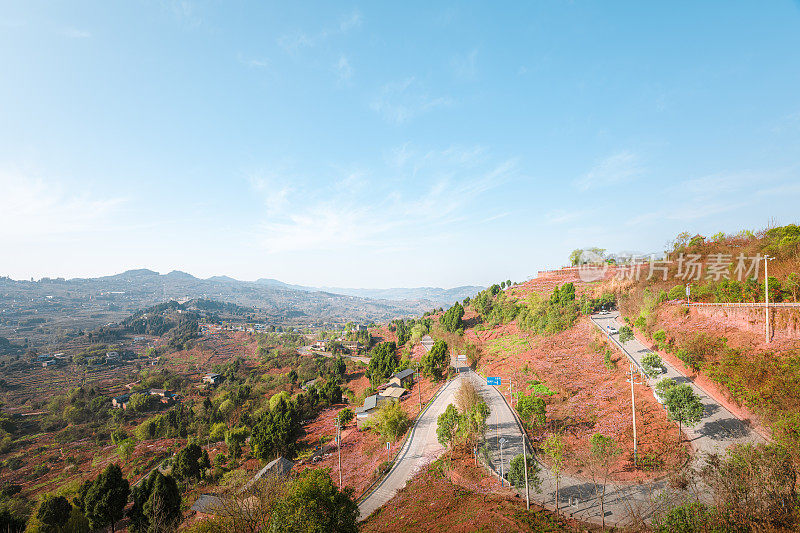 阳光灿烂的日子里，满山桃花