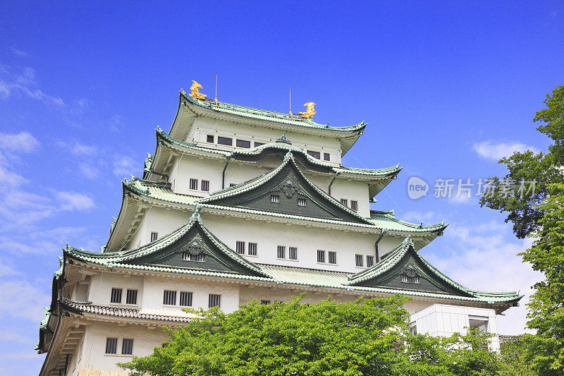 名古屋城堡，日本，爱知县，名古屋