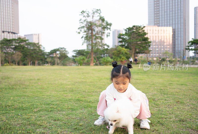 女孩和博美犬在草地上玩耍