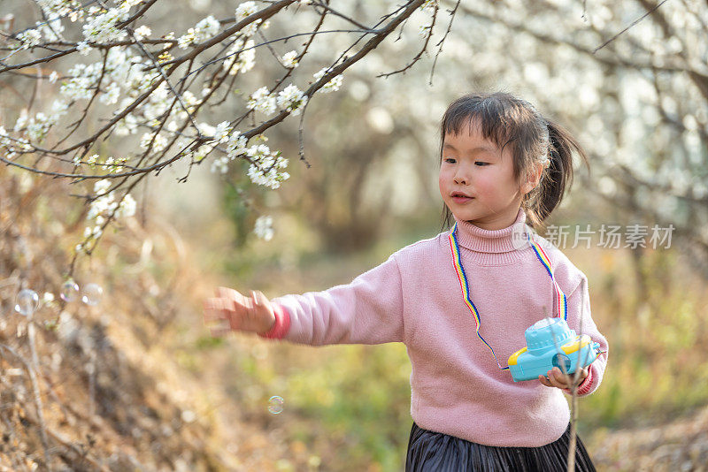 一个小女孩在盛开的梅树上吹泡泡