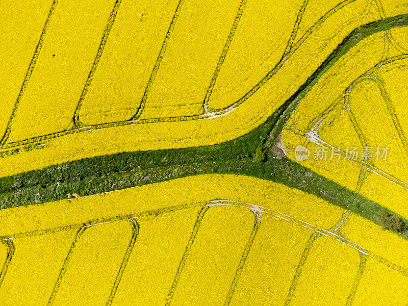 从上面看，黄色的菜籽花田地上有形状和线条