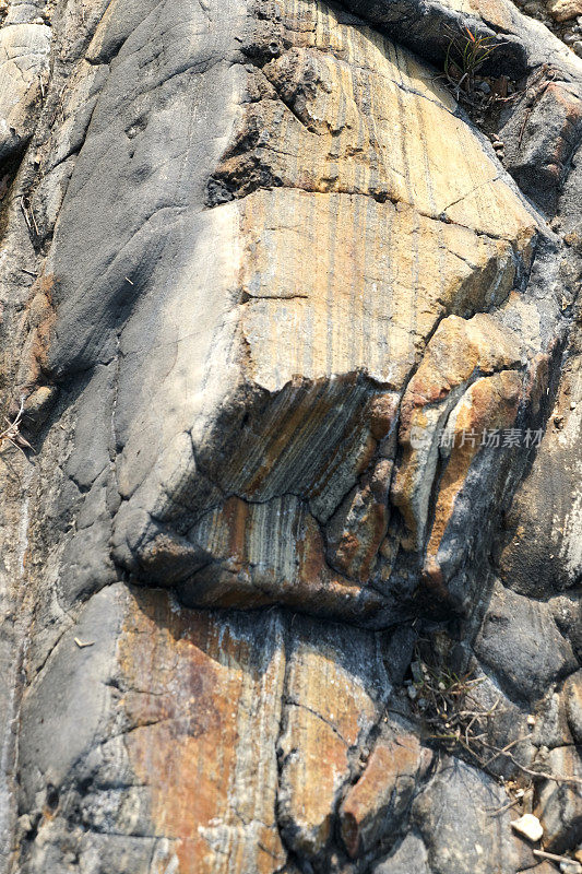 香港荔枝庄火山碎屑沉积岩