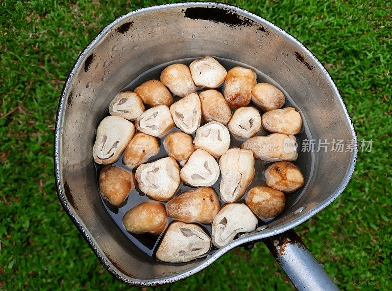 水煮草菇——食品制备。