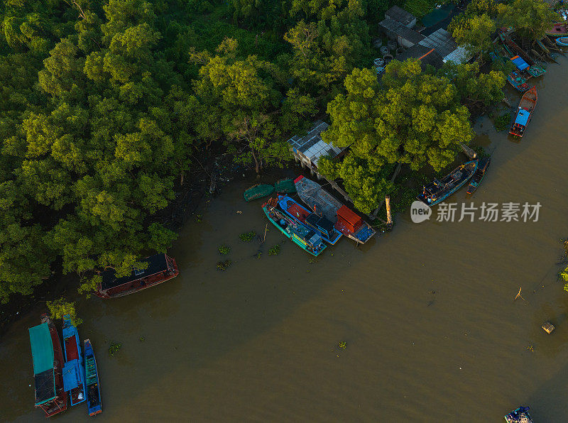 天江省冲积海岸红树林航拍摘要