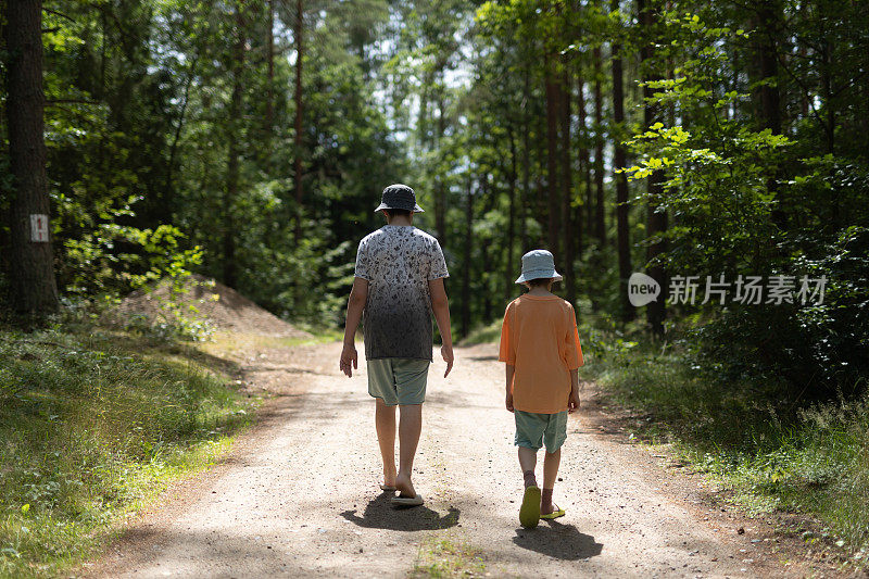 小男孩们在森林里散步