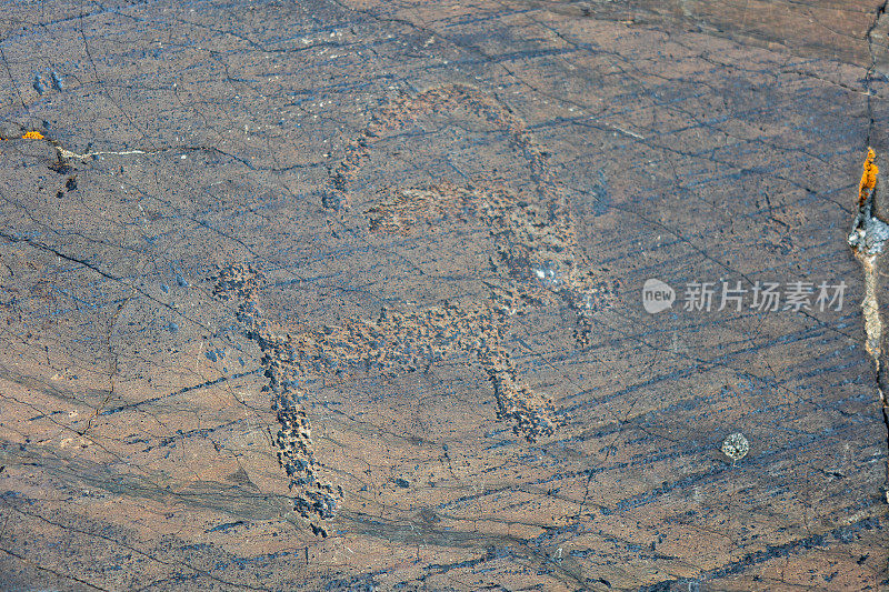 西蒙古阿拉尔陶勒盖岩画艺术