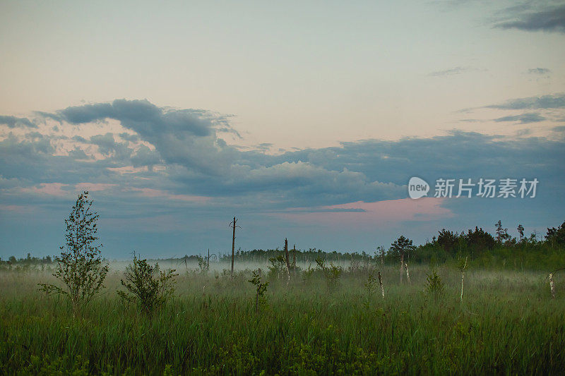 雾气笼罩着草地。晚上的天空。