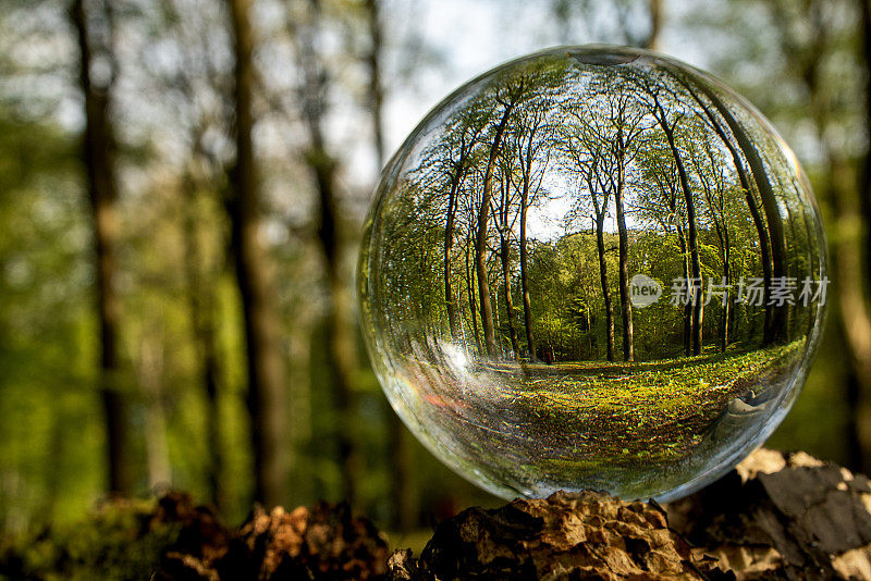 专注于照顾自然和气候，在一个水晶球中，斯堪的纳维亚的自然在春天反映在球内