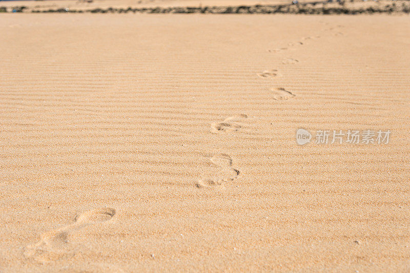 沙尘中的脚步声和波浪——沙漠中的沙丘