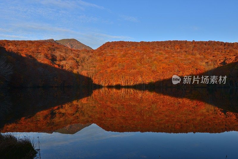 日本东北部和田市秋季沼泽的光影