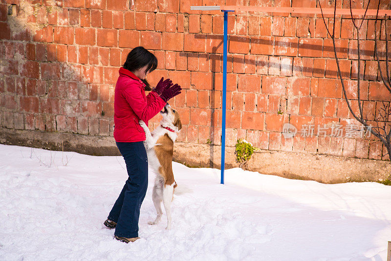 一个女人在雪里和狗玩