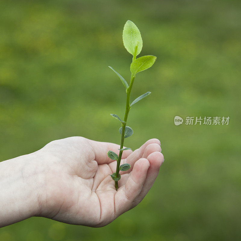 制造良好的投资