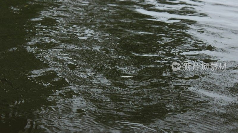 阳光倒映在河面上