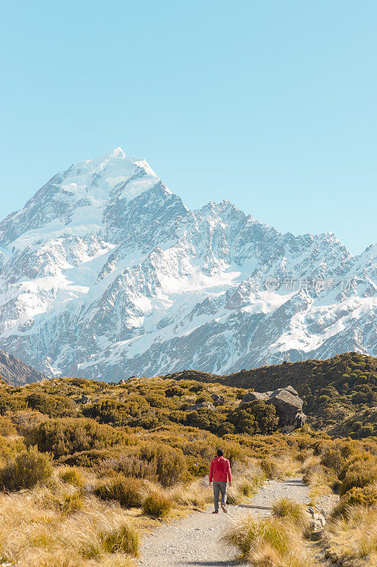 新西兰库克山;独自徒步旅行者在阳光下在库克山徒步路线。