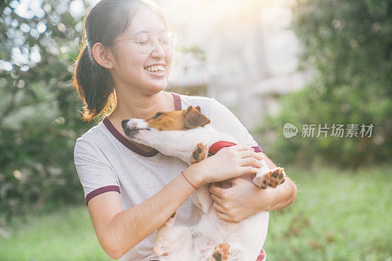 亚洲家庭十几岁的女孩玩好玩的她的宠物杰克罗素梗狗在花园在夏天的早晨