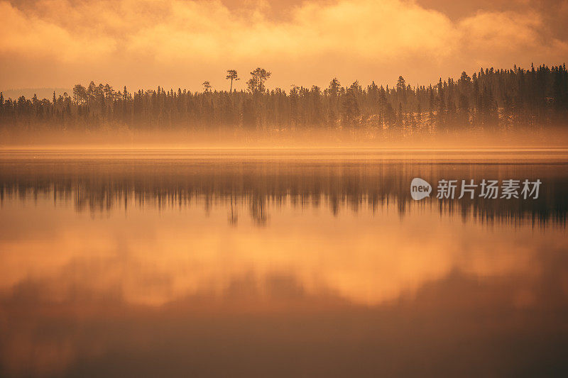 森林里夕阳西下，湖泊在林中，雾气蒙蒙