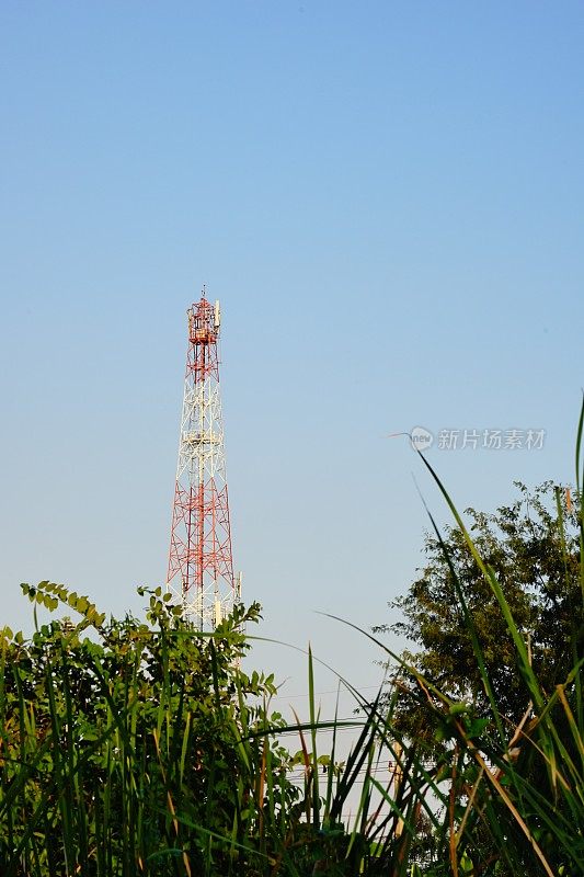 5G移动网络通信塔近树