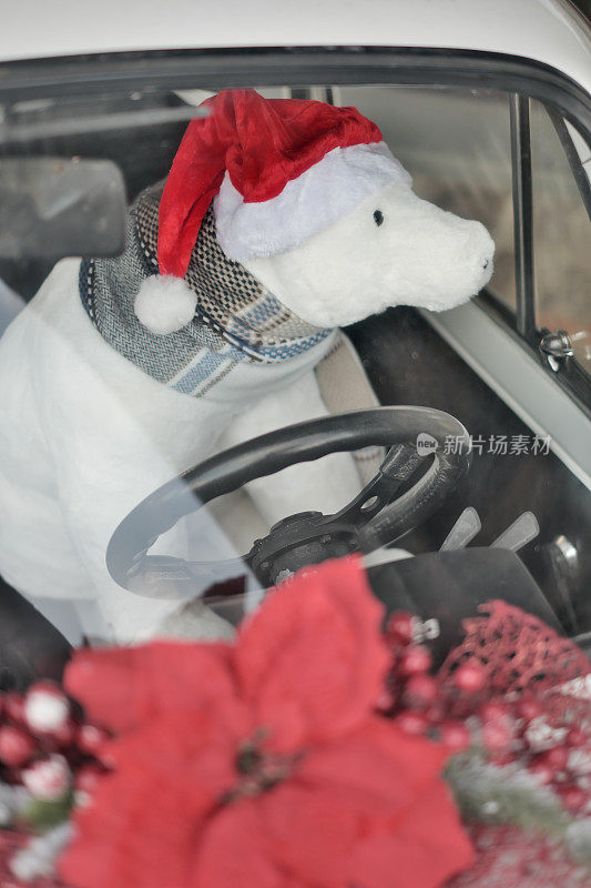 装扮成圣诞老人的泰迪熊在车里