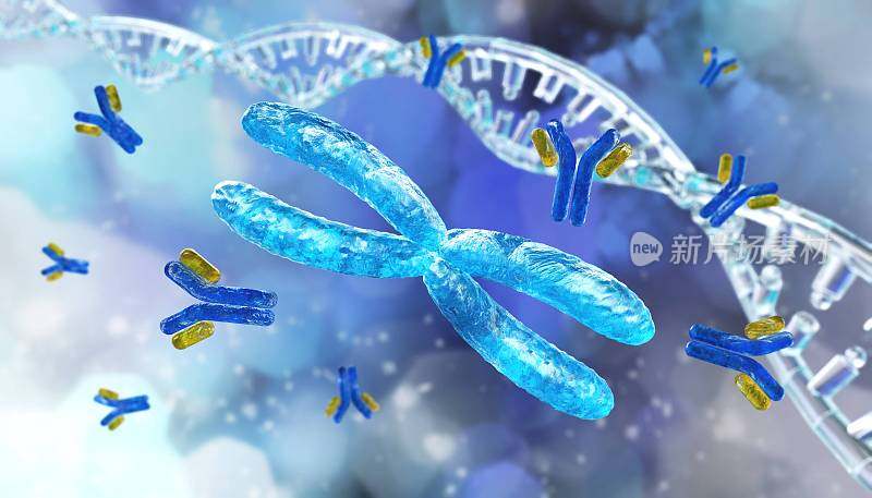 染色体和DNA