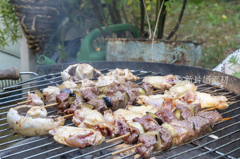 在花园烧烤烹饪猪肉，鸡肉，小牛肉和羊肉串在火盆上