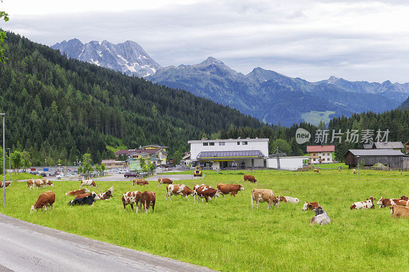 欧洲阿尔卑斯山(奥地利)齐勒塔尔的格洛斯村