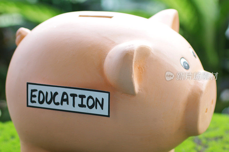 图像的小猪银行与插槽顶部与教育标签，家庭财务和储蓄的概念