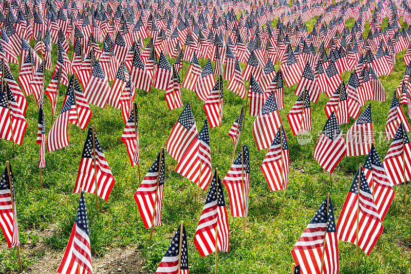 波士顿公共公园里有很多美国国旗