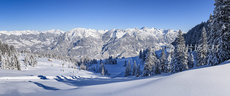 滑雪胜地的白雪树和粉雪