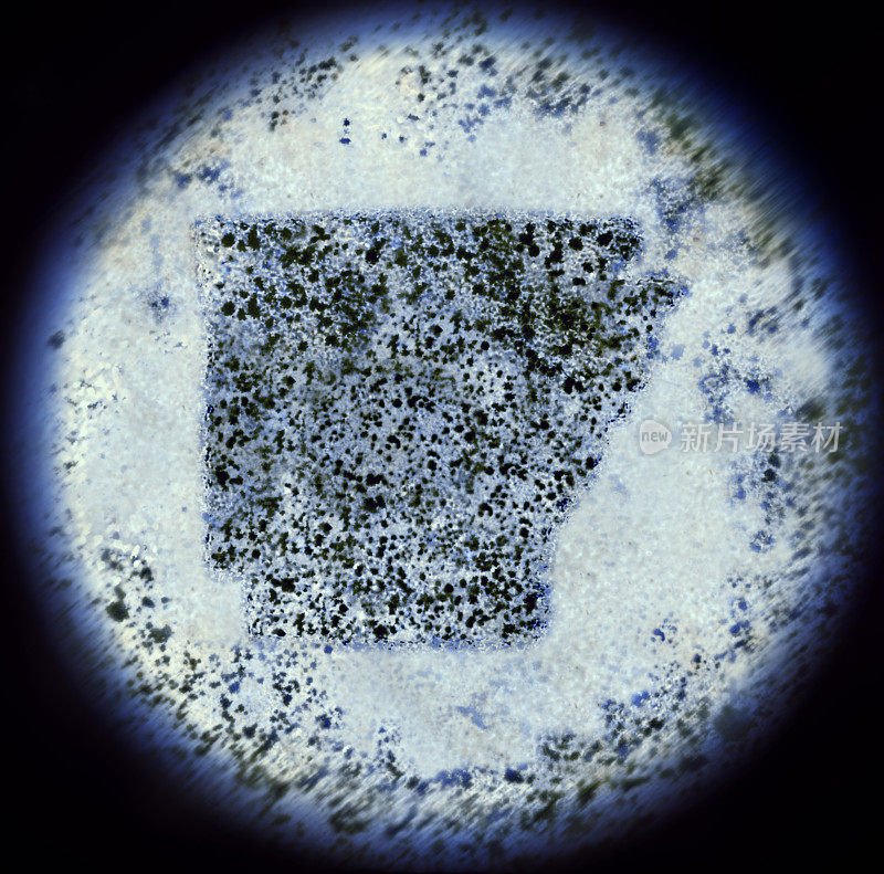 通过显微镜观察形成阿肯色州的细菌。(系列)