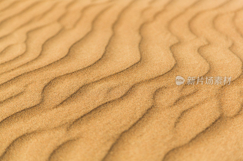 迪拜沙漠沙子的细节