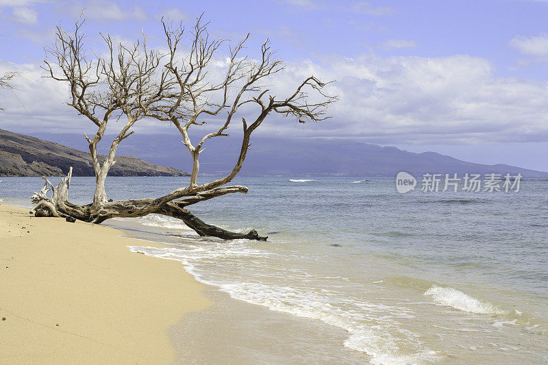 西毛伊岛海滩