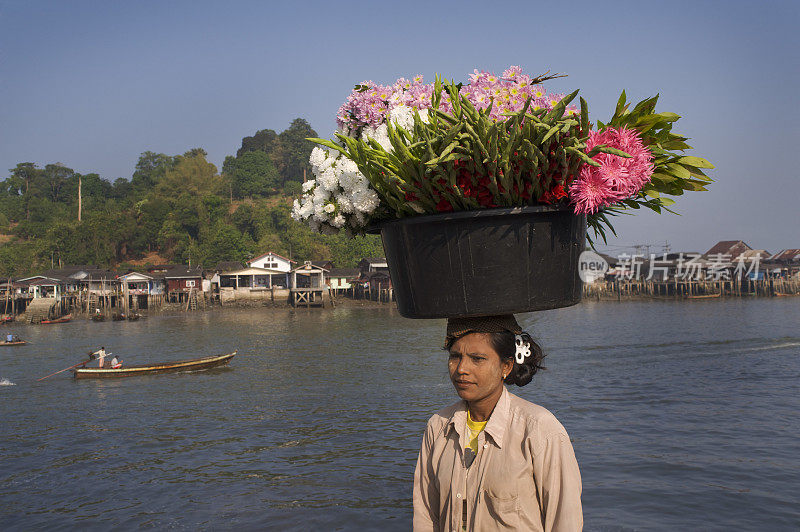 缅甸花卖