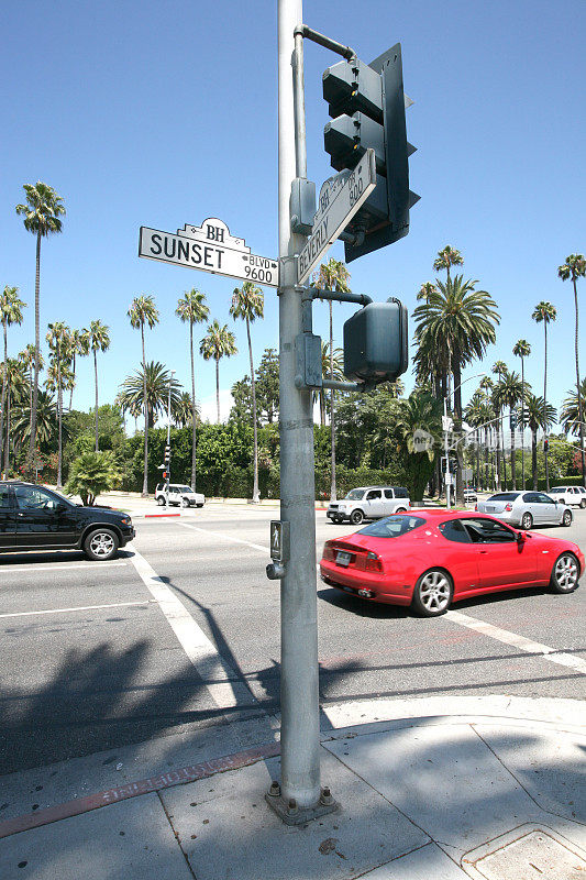 日落大道街道标志与棕榈树的背景