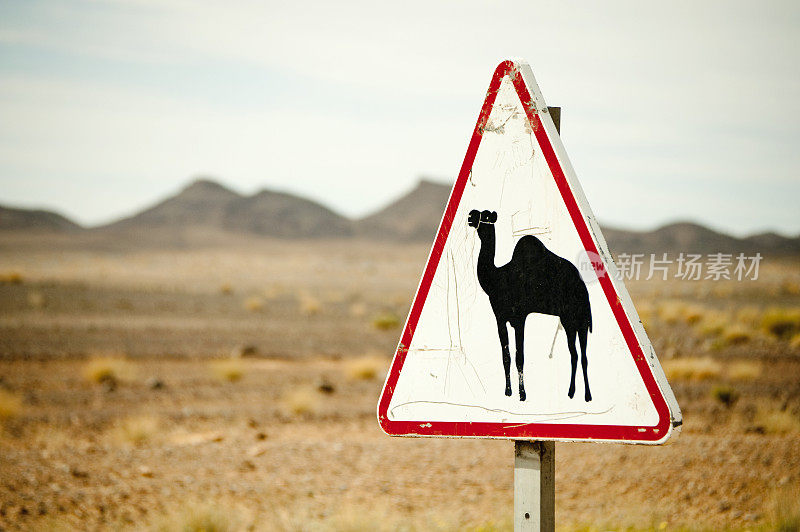 骆驼穿越标志