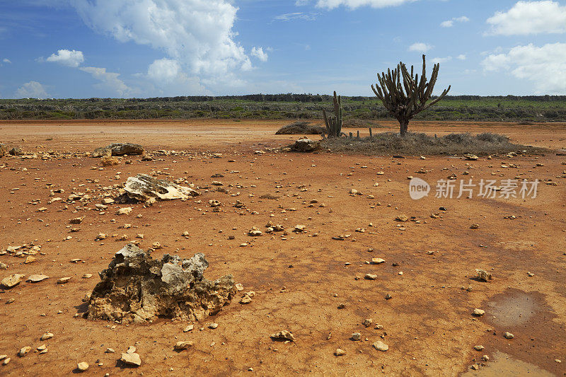 哈托平原的沙漠景观，Curaçao，荷属安的列斯群岛